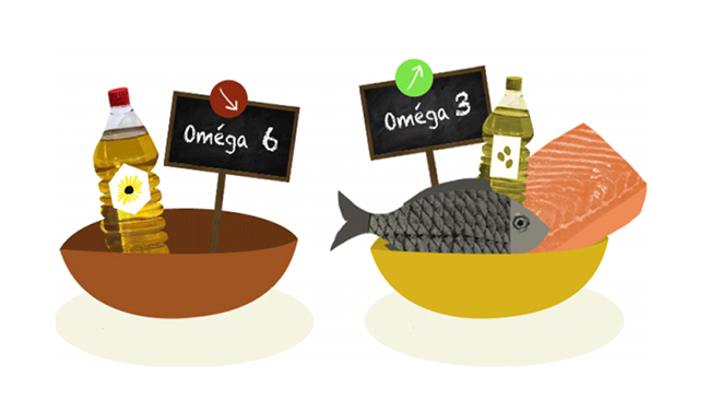 (Dầu hướng dương chứa omega 6 và các loại thực phẩm chứa omega 3)