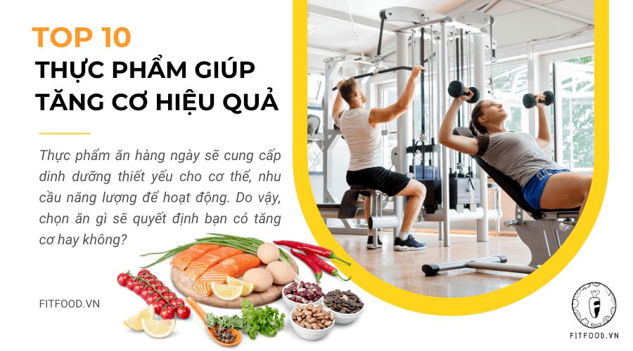 Top 10 thực phẩm giúp gymer tăng cơ hiệu quả