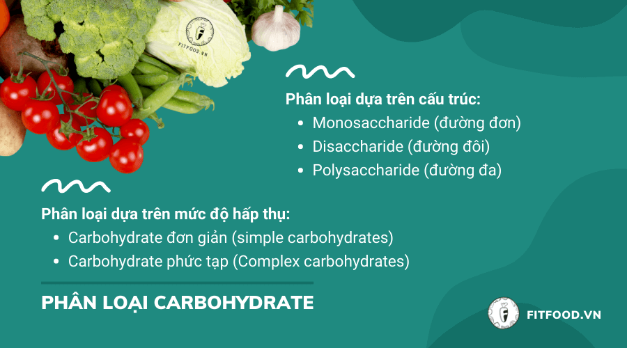 Phân loại Carbohydrate