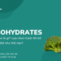 Carbohydrates là gì? Cách chọn carb tốt bổ sung cho cơ thể