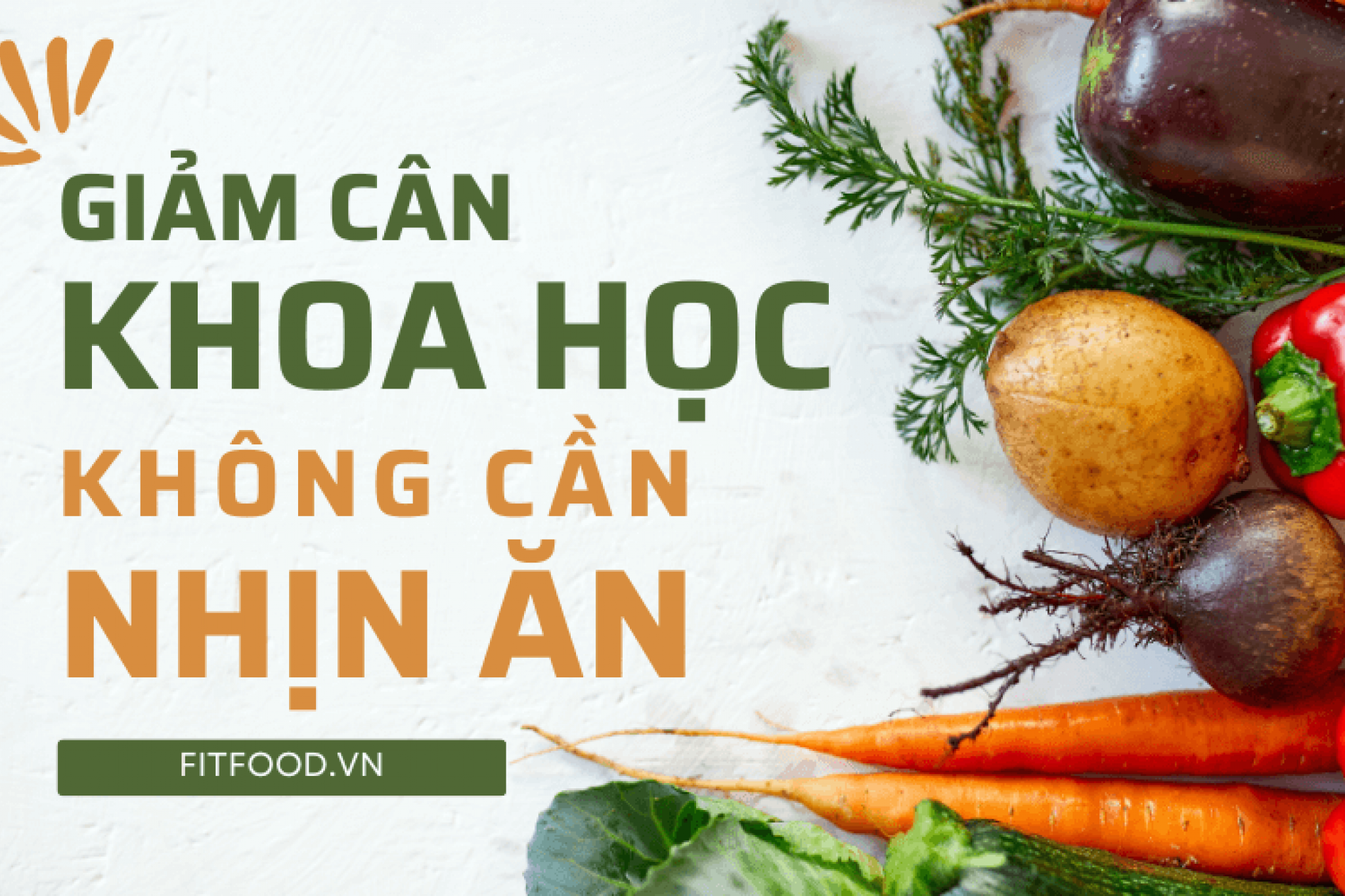 Phương pháp giảm cân khoa học: Giải pháp an toàn và hiệu quả cho sức khỏe