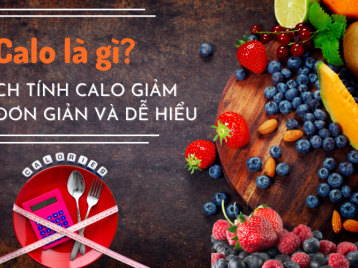 CALO LÀ GÌ? CÁCH TÍNH CALO GIẢM CÂN ĐƠN GIẢN VÀ DỄ HIỂU