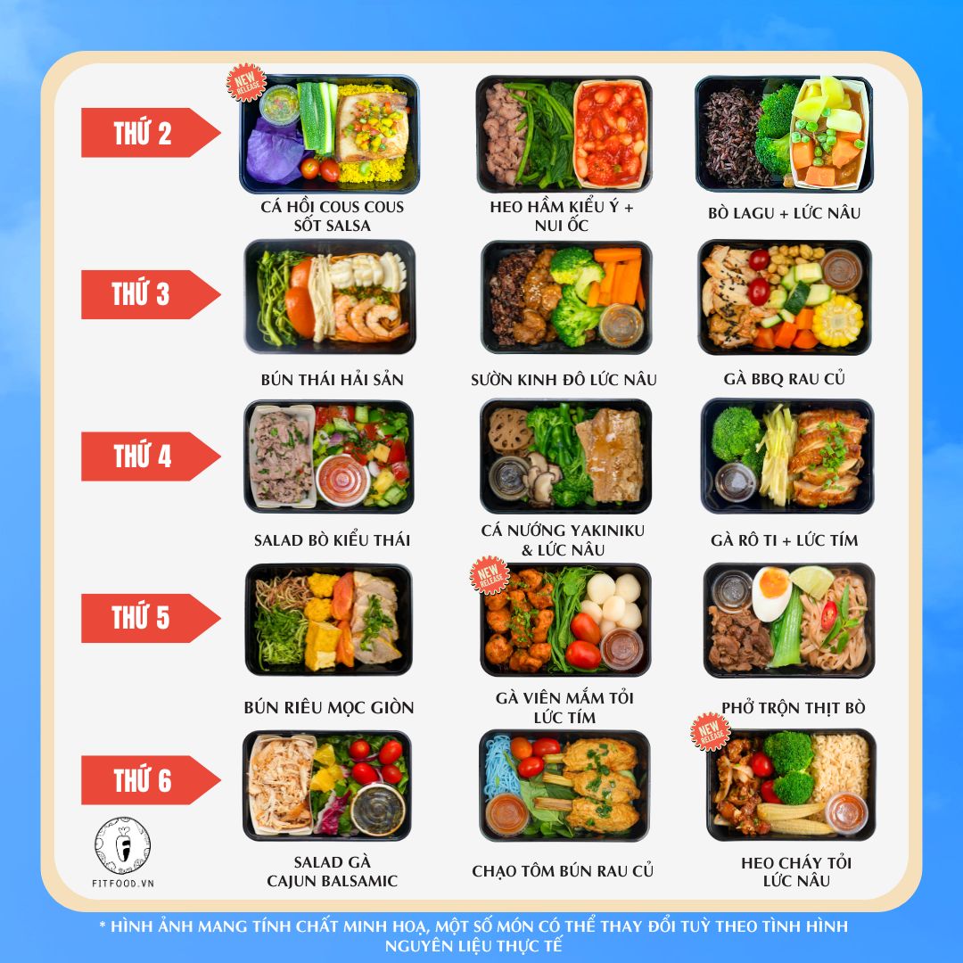 FIT 3 Package
