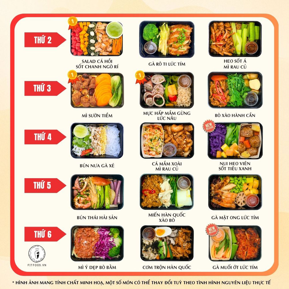 FIT 1 Package