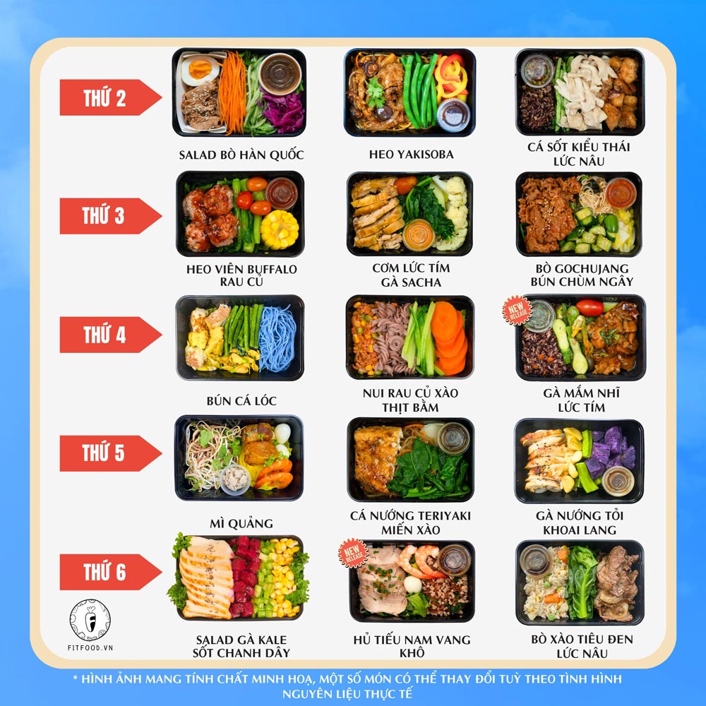 FIT 3 Package