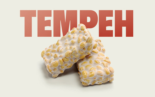 Tempeh 0