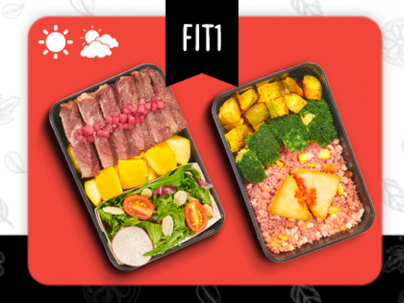 FIT 1 Package 0