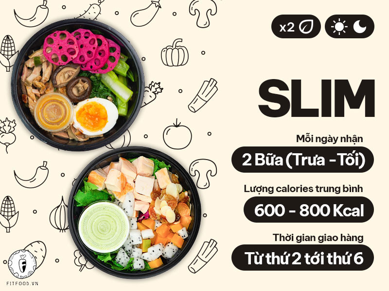 SLIM Package 2