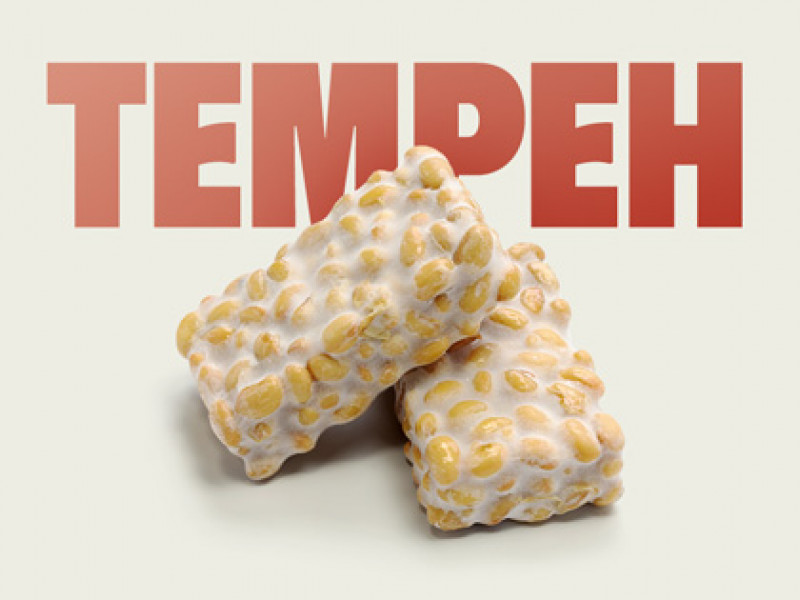 Tempeh Tương Nén